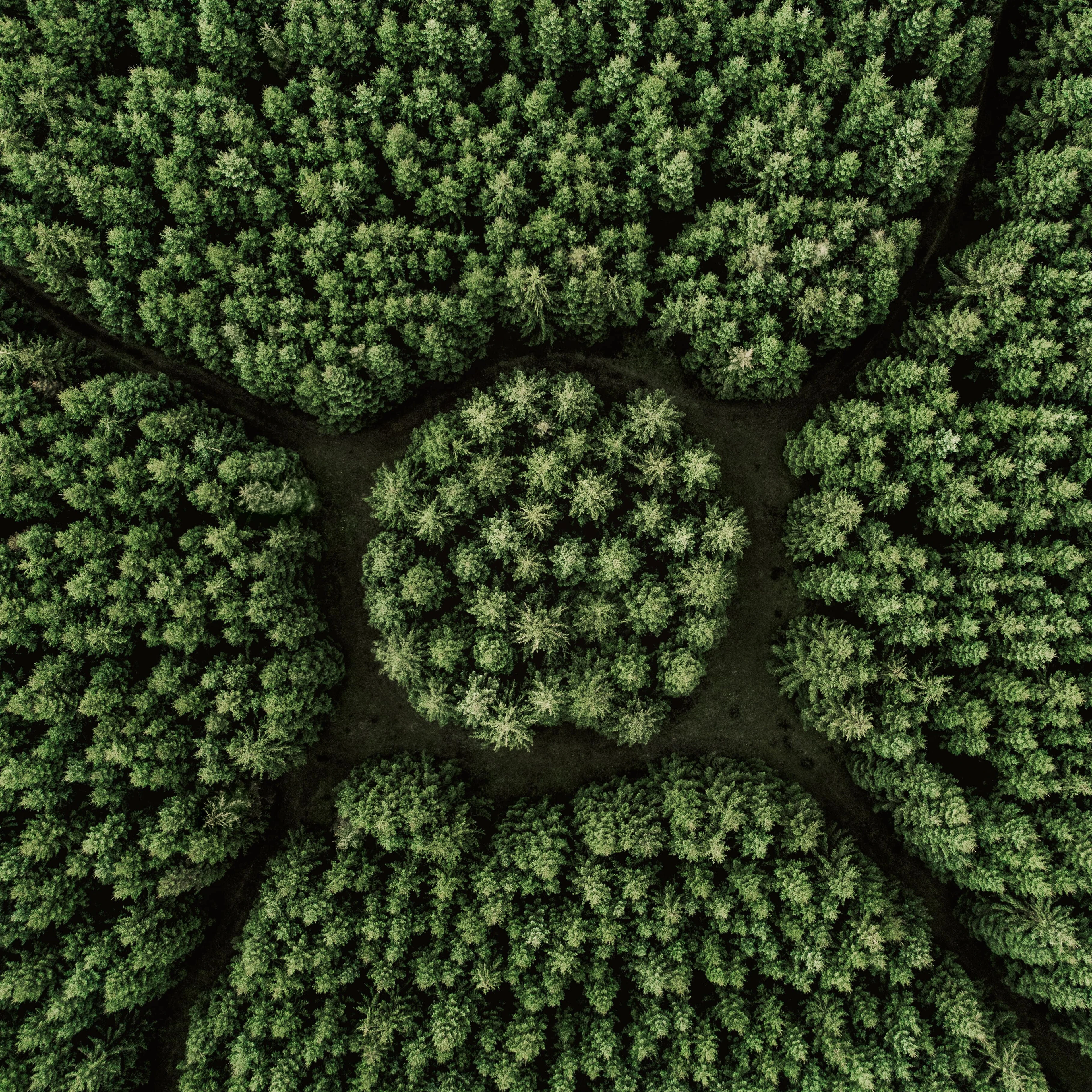 Getty Images 1213747572