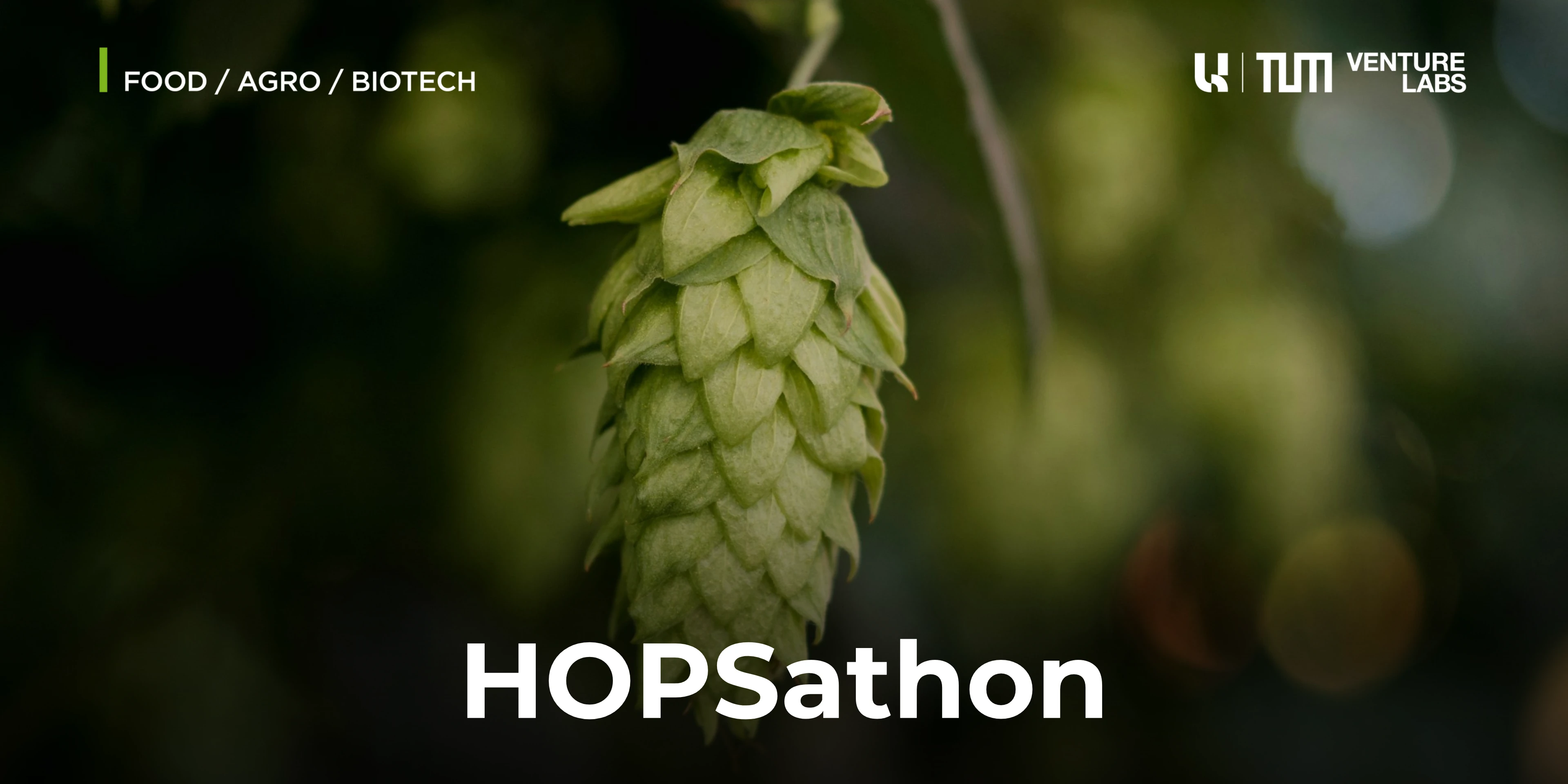 Hopsathon UTUM