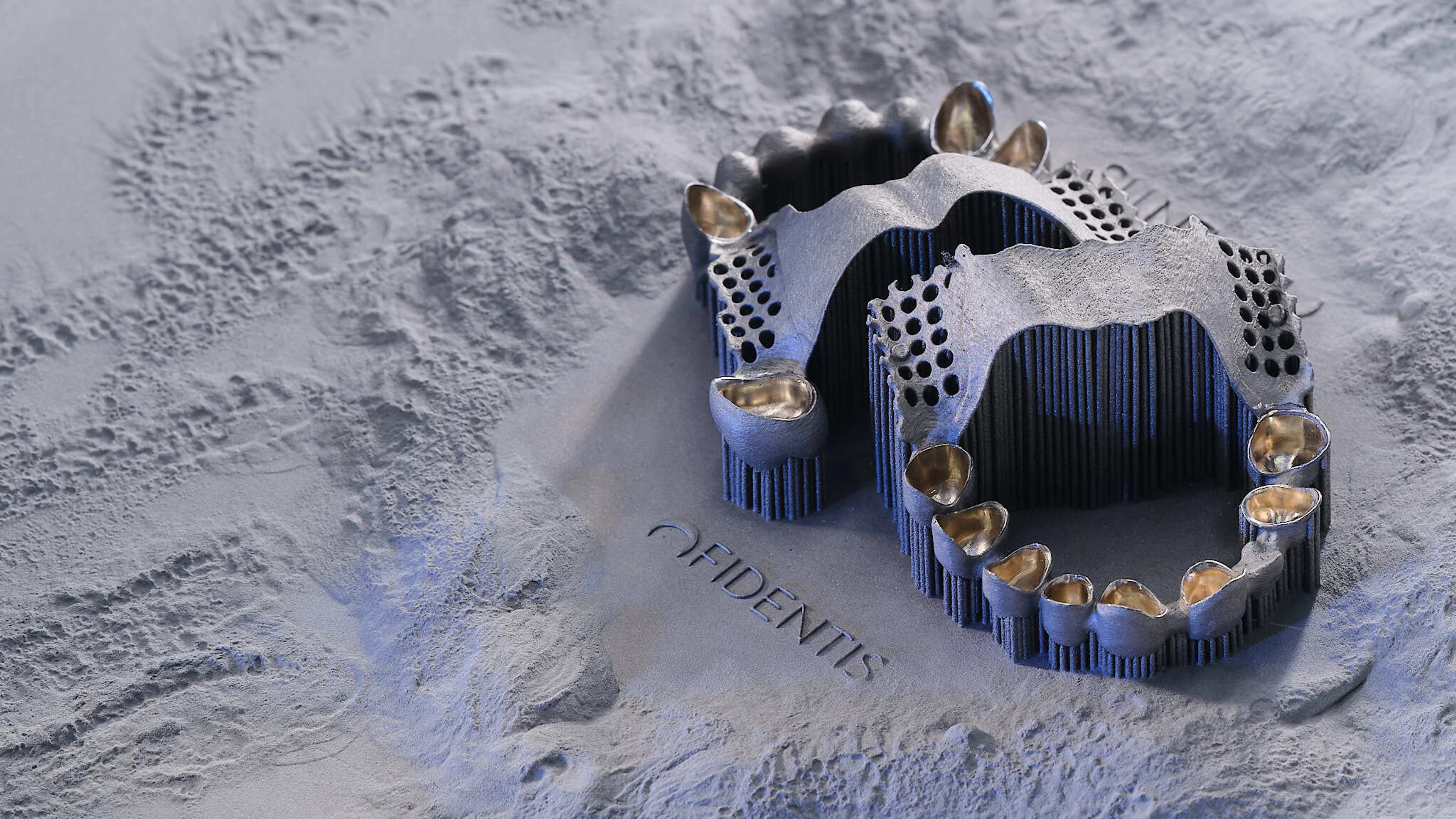 Leon Laskowski Fidentis DSF4227 E2 1 1 1