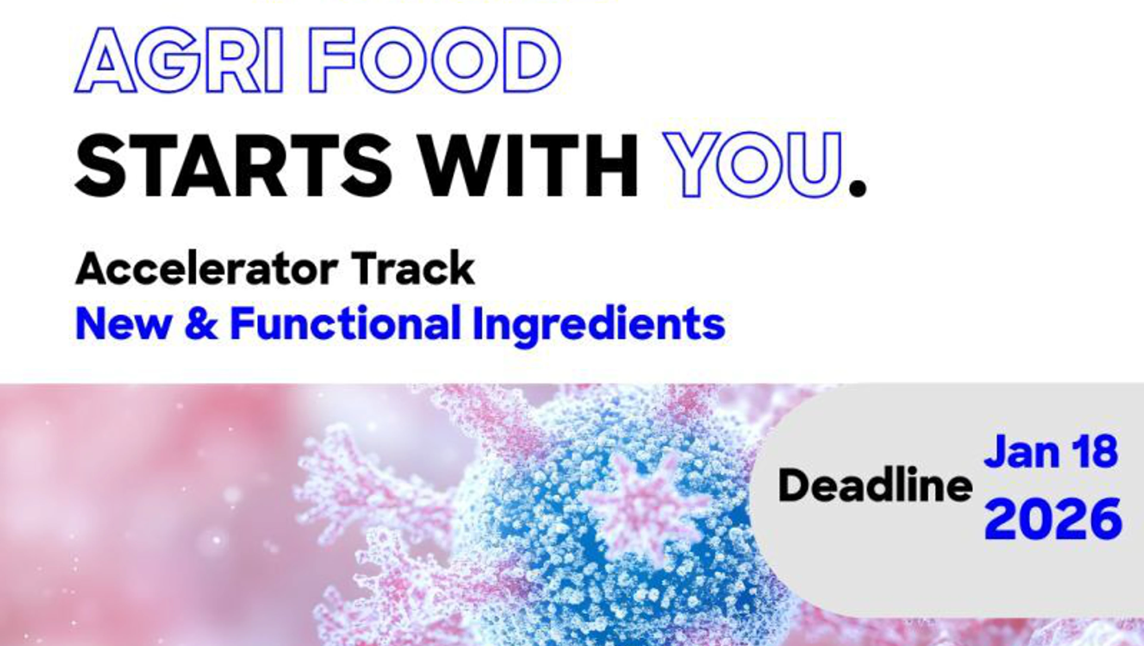 New Ingredients