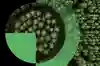 Circular republic header homepage keyvisual black getty1213747572