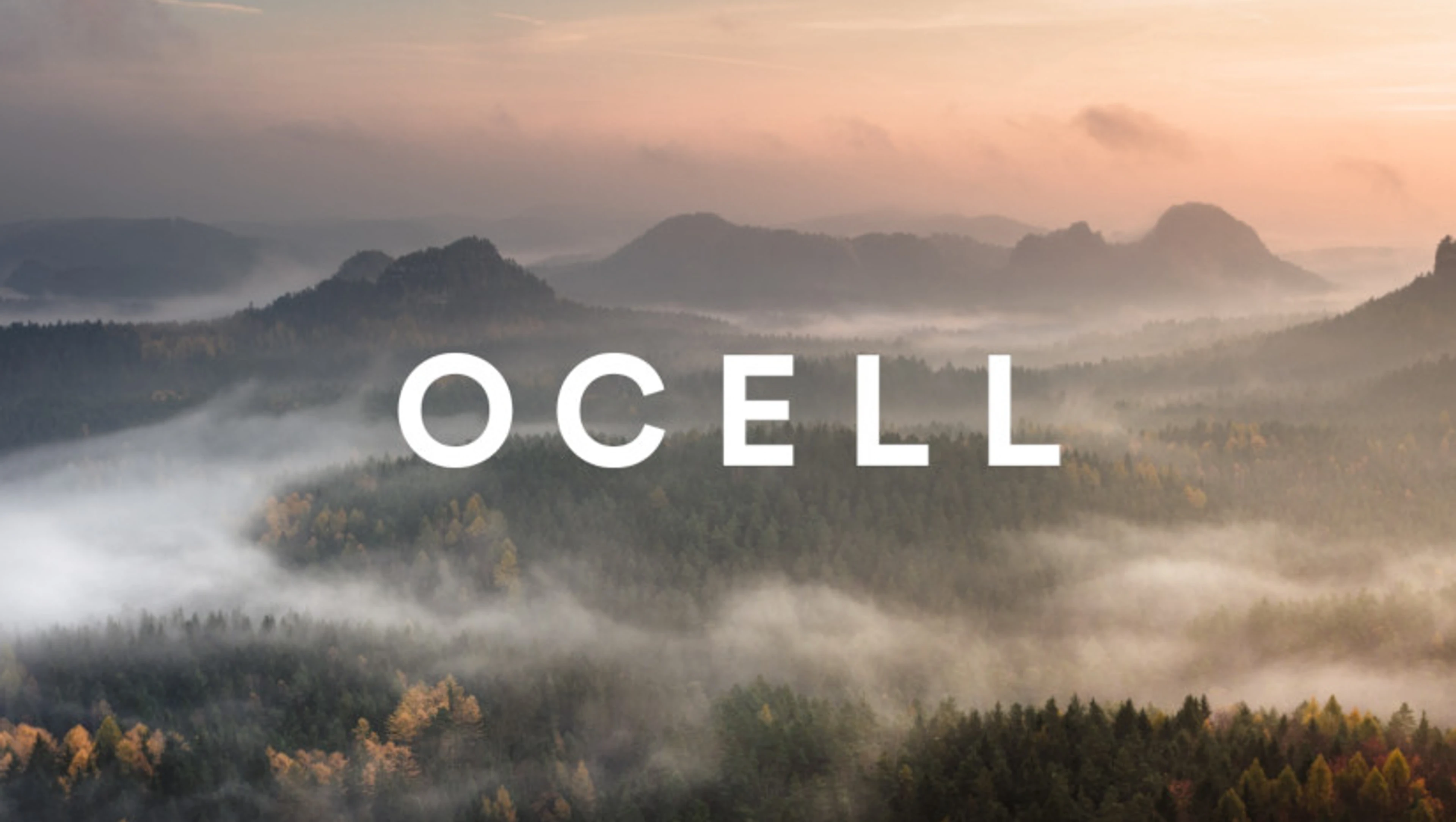 Ocell visual