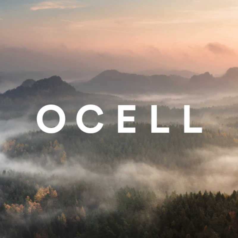 Ocell visual