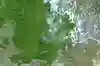 satellite picture of the earth
