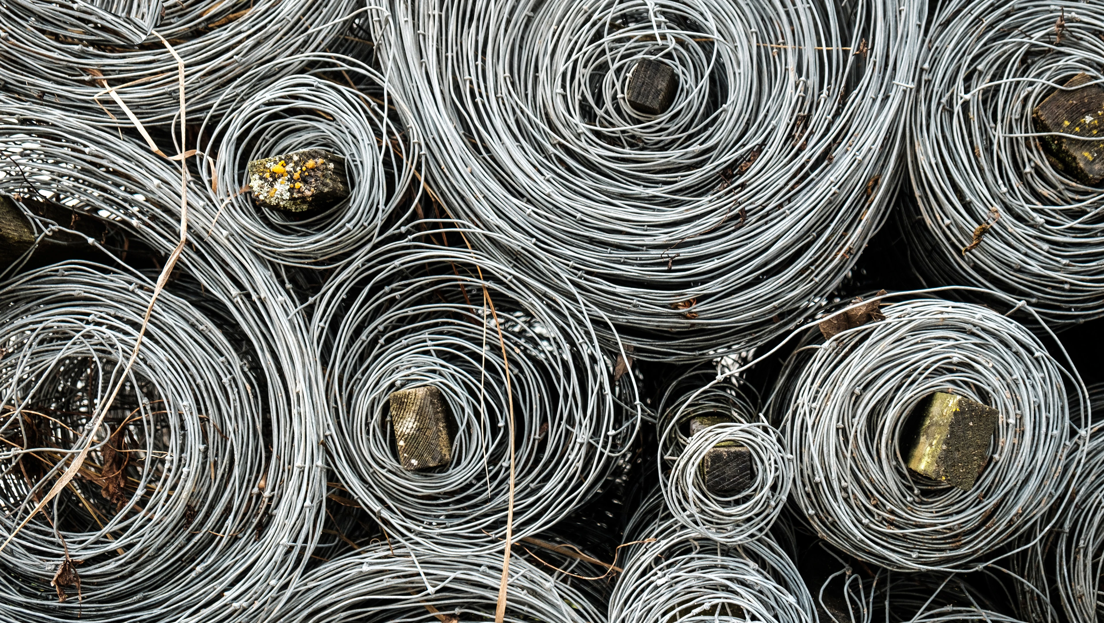 Circular wires